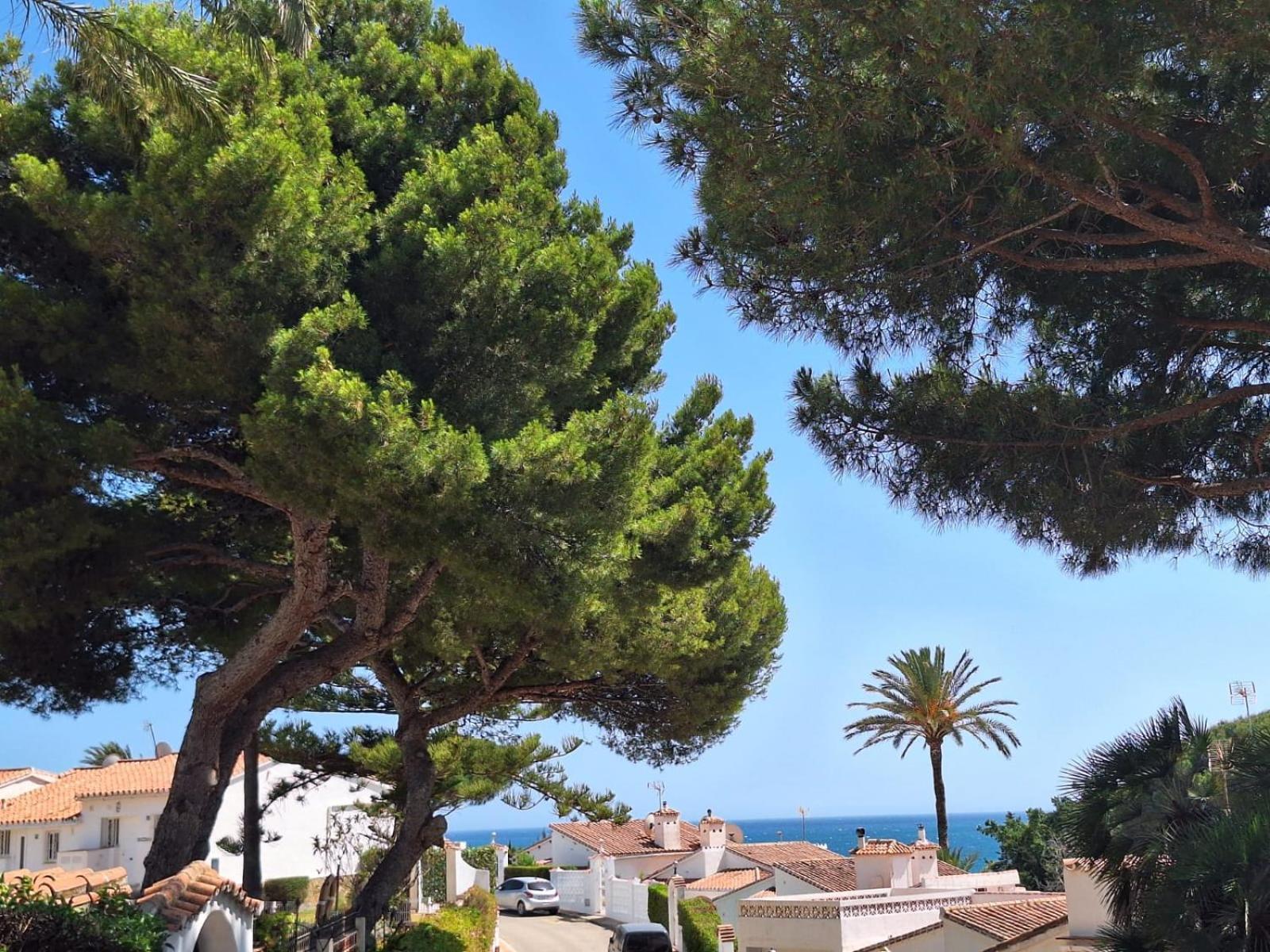 La Casa Catharina Apartment Malaga Ngoại thất bức ảnh
